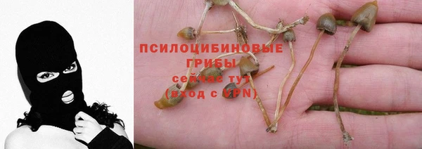 MESCALINE Абаза