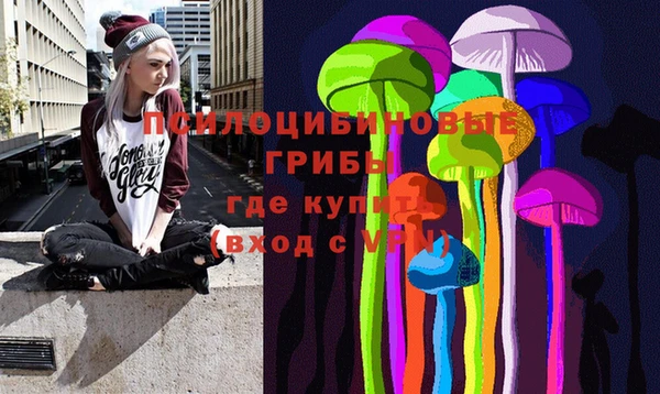 героин Алексин