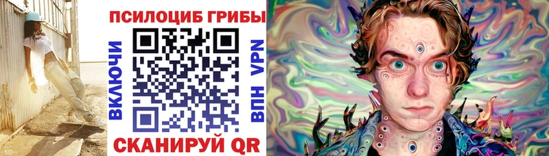 купить закладку Жердевка Псилоцибиновые грибы Psilocybe