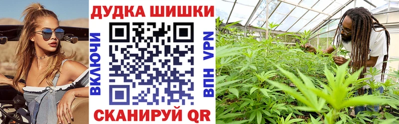 Шишки марихуана семена  магазин продажи наркотиков  Жердевка 